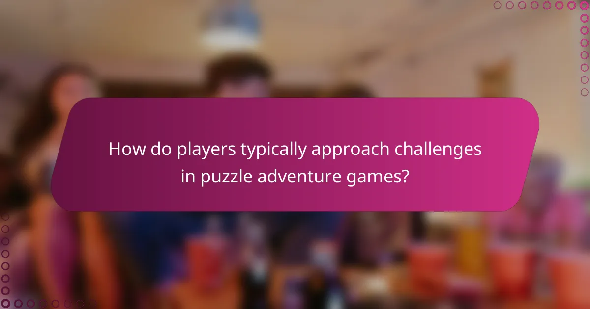 How do players typically approach challenges in puzzle adventure games?