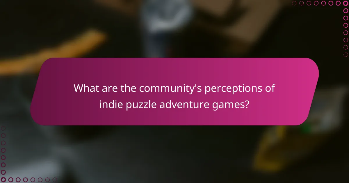 What are the community's perceptions of indie puzzle adventure games?