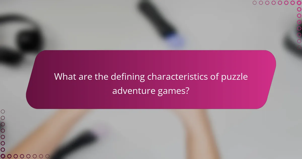 What are the defining characteristics of puzzle adventure games?