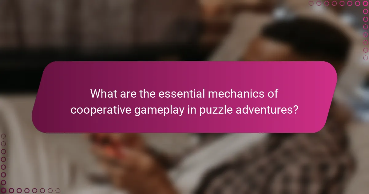 What are the essential mechanics of cooperative gameplay in puzzle adventures?