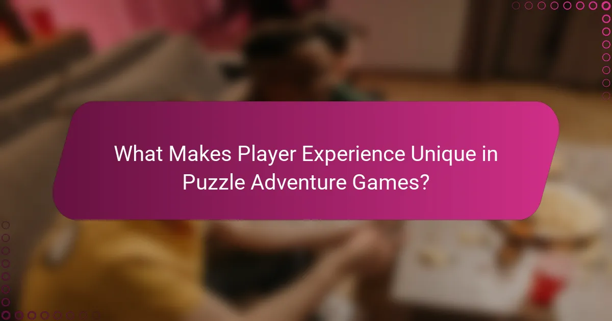 What Makes Player Experience Unique in Puzzle Adventure Games?